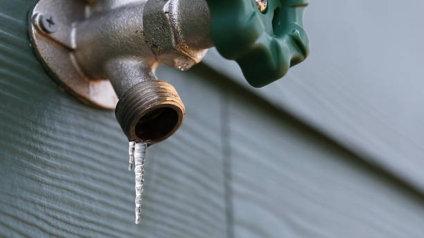 Best Clogged Drain Plumber  in Frankfort, IN