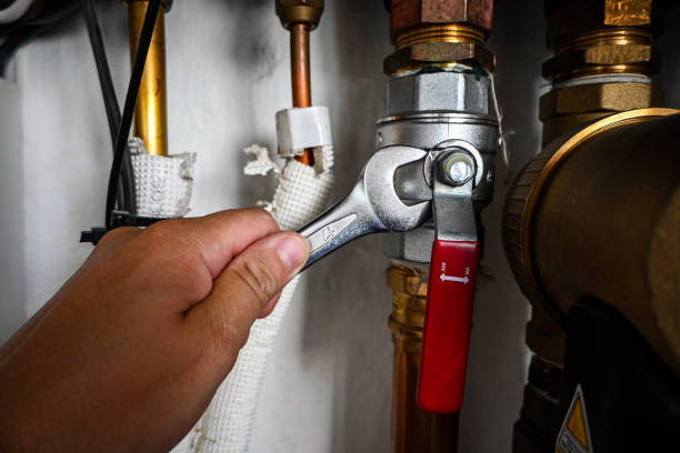 Best Affordable Plumbing Services  in Frankfort, IN